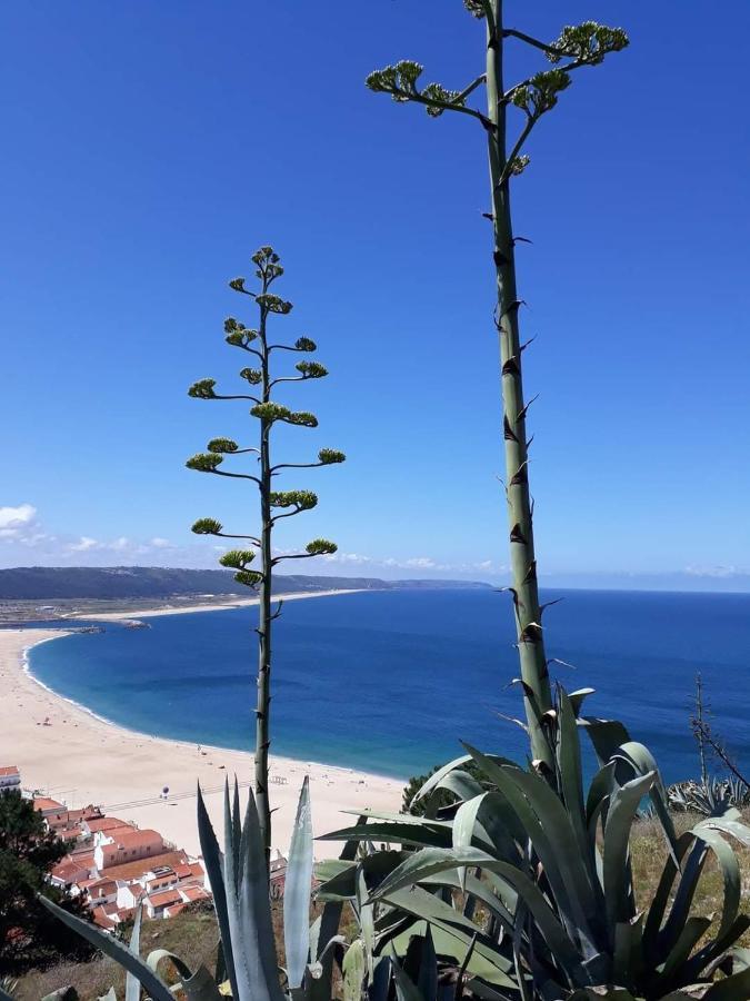 Refugio Villa Mar Nazare Exterior photo